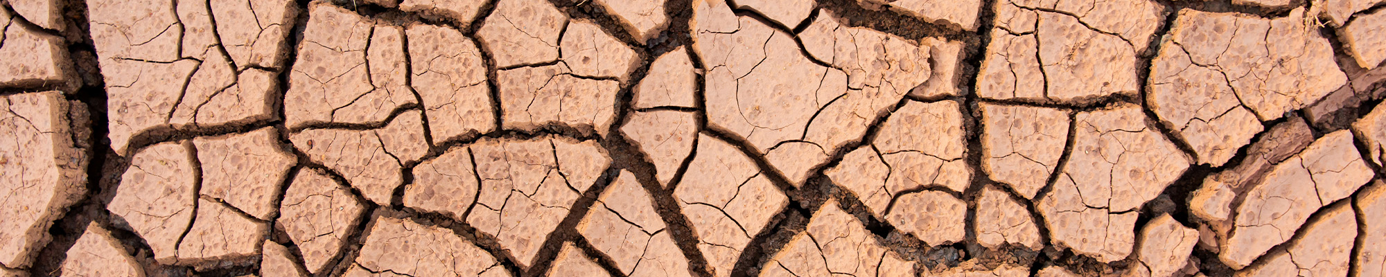 Dry dirt, cracked to resemble what dry, cracked skin feels like.
